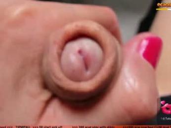 kpetra webcam chaturbate model stream image