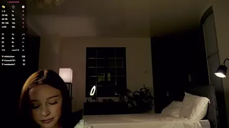 SanySenise webcam model stream image