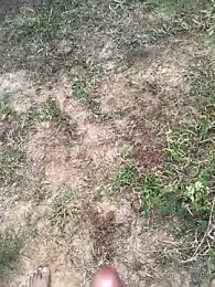 Gopal1243 webcam stripchat model stream image