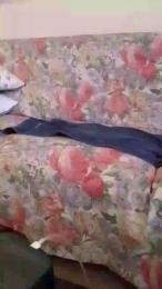 nakedworkbear2 webcam model stream image