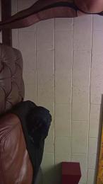 hiddenpleasure5 webcam model stream image