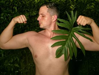 AlesandroVieri webcam livejasmin model stream image
