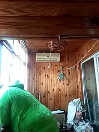 Bols777 webcam model stream image