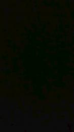 sborrosutuamam2 webcam model stream image