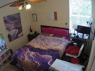 voyeurcam-hornyhostel-01 webcam model stream image