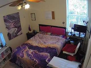 voyeurcam-hornyhostel-01 webcam model stream image