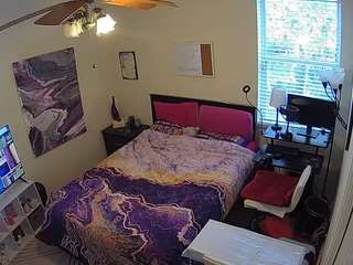 voyeurcam-hornyhostel-01 webcam model stream image
