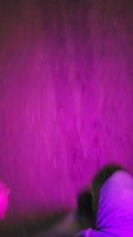 tomsauwer webcam model stream image