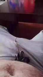 torcado47 webcam model stream image