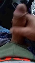 Piseloduro webcam model stream image