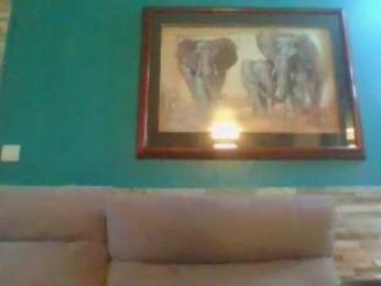 max5962d webcam model stream image