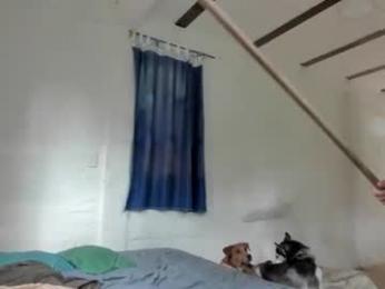 sexnherbs webcam chaturbate model stream image