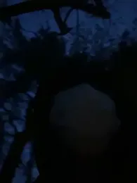 min9811 webcam model stream image