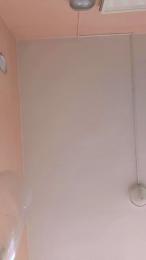 Alice98 webcam model stream image