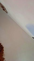 Venus_brave webcam model stream image