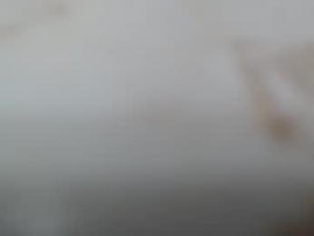 junk_yard_dog webcam chaturbate model stream image