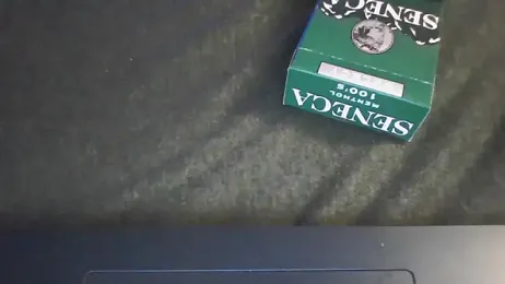 ReeferMadness59 webcam model stream image