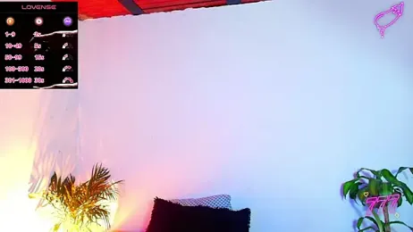 tiancam webcam model stream image