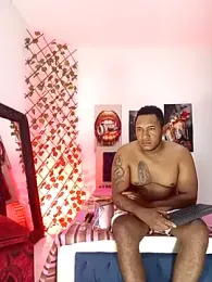 ARTHUR_MINI webcam model stream image