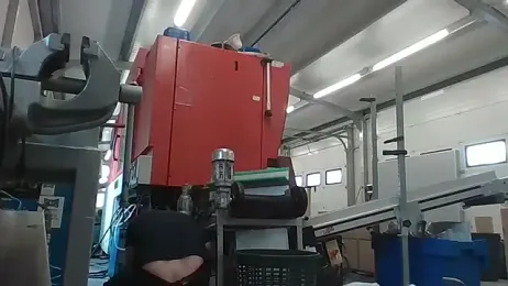 Boomerhun webcam model stream image