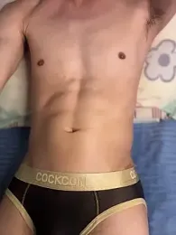 pioneer_s webcam model stream image