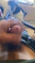 bongars21 webcam cam4 model stream image