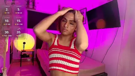 imgerver webcam model stream image