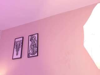 kai-falcon webcam model stream image