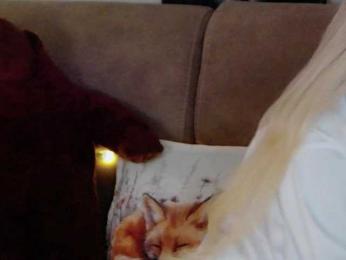 Kocmoc_Katerina webcam model stream image