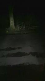 Jan_uncensored webcam model stream image