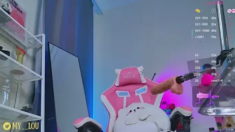 MyLoulaby webcam model stream image