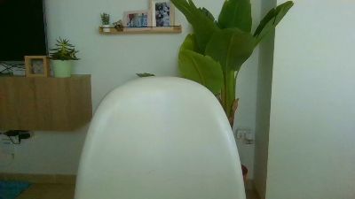 hawaii_1 webcam model stream image