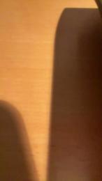 Pispol8 webcam model stream image
