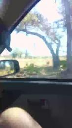 wokefromsleep webcam model stream image