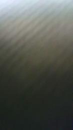 Superworms webcam model stream image