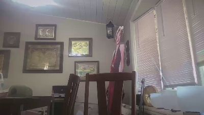 pbmotorsfun3 webcam preview