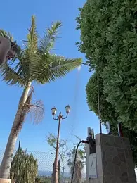 MrAndMrsSavage webcam model stream image