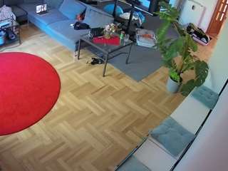 voyeurcam-julmodels-living-2 webcam model stream image