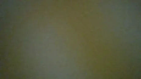 ExoticVibes69 webcam model stream image