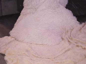 PalomaDelMar webcam model stream image