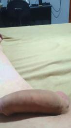 pirocudo81 webcam model stream image