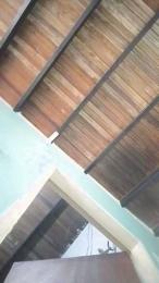 aly_pig_hot webcam model stream image