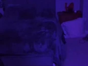 sexkittenfordaddy webcam model stream image