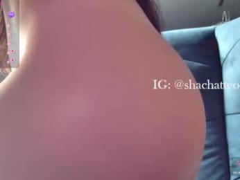 shachatte chaturbate stream image, 01.07.2025 08:40