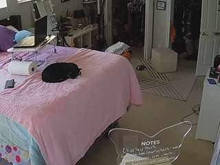voyeurcam-house-charleys-room camsoda stream image