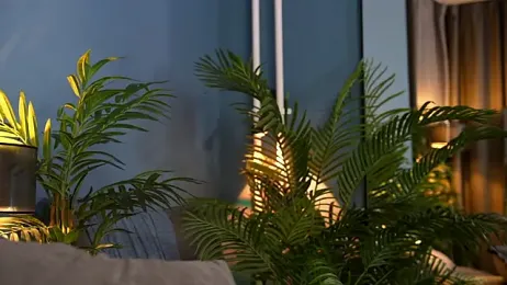 _keeti_ stripchat stream image, 20.11.2025 19:50