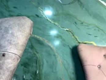 sexual_addiction chaturbate stream image