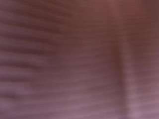 mssburbuja camsoda stream image, 10.12.2025 03:00