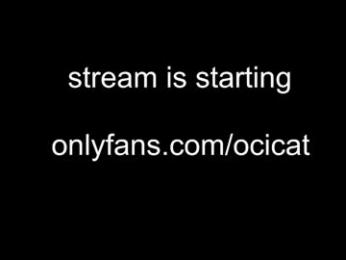 ocicat chaturbate stream image