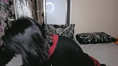 GraypacLive stripchat stream image, 07.02.2026 14:40